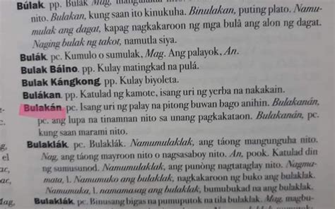 baldugan meaning in tagalog|bulugan in English .